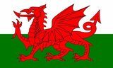 The flag of Wales (Welsh: Baner Cymru or Y Ddraig Goch, meaning 'The Red Dragon') consists of a red dragon passant on a green and white field. As with many heraldic charges, the exact representation of the dragon is not standardised and many renderings exist.<br/><br/>

The flag incorporates the Red Dragon of Cadwaladr, King of Gwynedd, along with the Tudor colours of green and white. It was used by Henry VII at the Battle of Bosworth Field in 1485 after which it was carried in state to St Paul's Cathedral. The red dragon was then included as a supporter of the Tudor royal arms to signify their Welsh descent. It was officially recognised as the Welsh national flag in 1959.